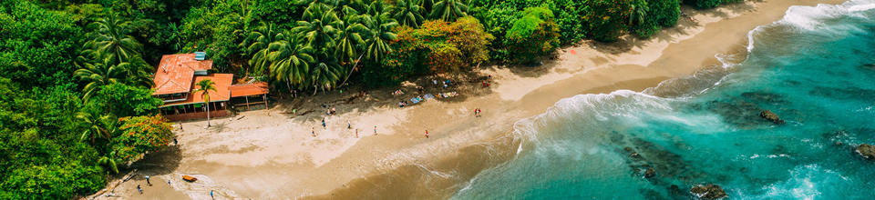 Una località costiera con una spiaggia sabbiosa, palme e acque cristalline.
